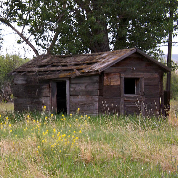Old shed needing demolition